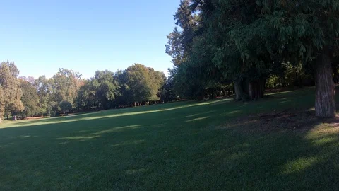 Park of Monza Stock Footage