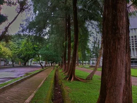 The park at the morning Stock Photos