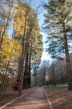 Park in the mountains Stock Photos
