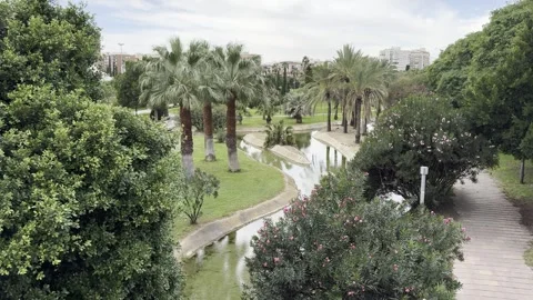 Park of Museum of Sciencies in Valencia, Spain Stock Footage 255289056