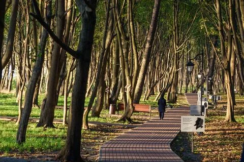 Park named after Moritz Becker in Yantarny. Kaliningrad region. Russia Stock Photos