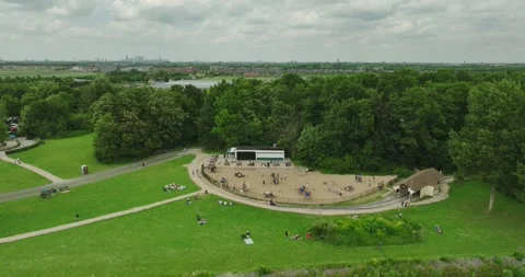 Park in the nature Stock Footage 264782843