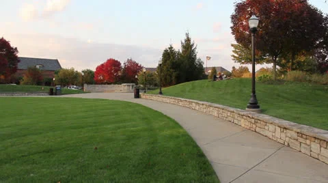 Park on a nice day 動画素材 22497424