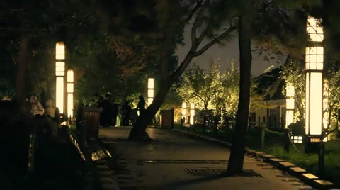 Park at night in china Stock Footage 980115