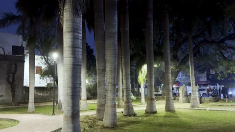 Park at night 스톡 동영상 329693236