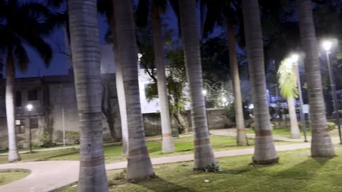 Park at night Stock Footage 329693645