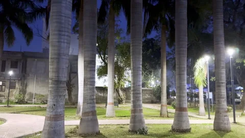 Park at night Stock Footage 329693817