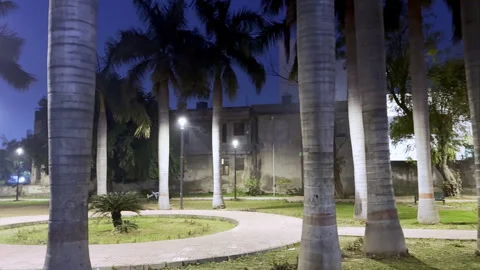 Park at night Video stock 329693876