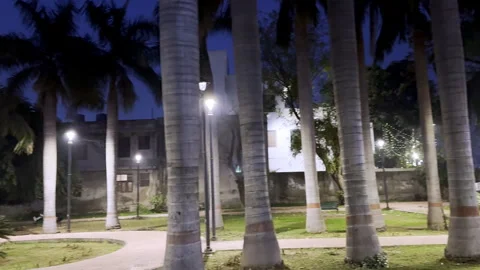 Park at night Video stock 329694125