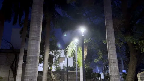 Park at night Stock Footage 329695175