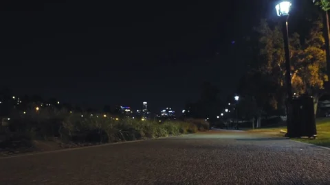Park at night low angle free camera tracking Vidéo 76260780