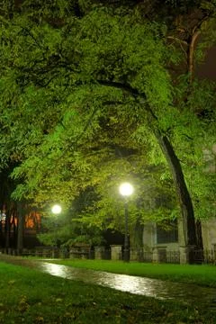 Park in the night Stock Photos