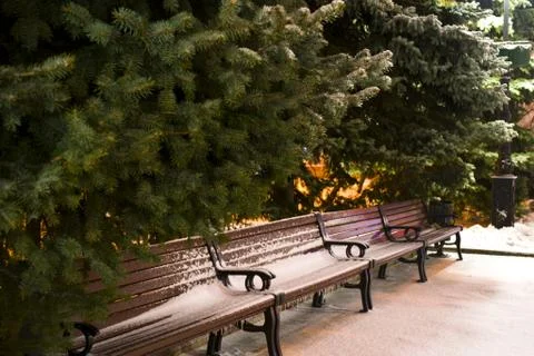 Park at night Stock Photos