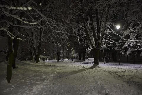 Park at night Stock Photos