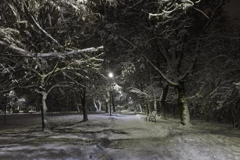 In the park at night Stock Photos
