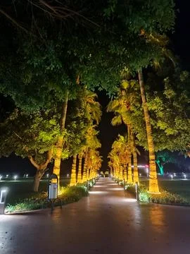 Park at night Foto stock