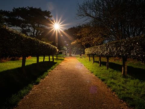 Park at night Stock Photos