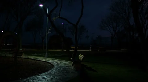 Park At Night Time Camera Tracking Left 2 Vidéo 36763258