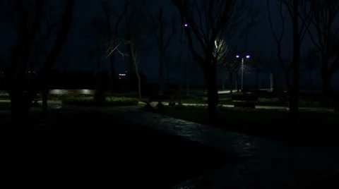 Park Night Time Vidéo 36762969