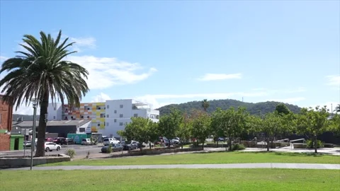 Park with palm trees and hillside behind town buildings, Woy Woy, New South Vídeo Stock 332910790