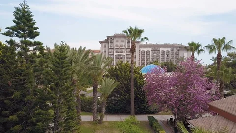 Park with palm trees and trees, top view, drone video, move back. Video stock 93811084