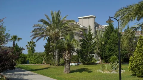 The Park with palm trees on the background of the blue sky, in the distance is a Video stock 92147975