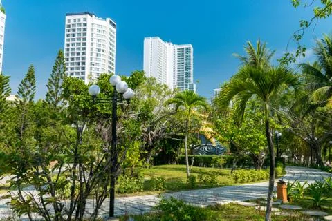 Park with palms and skyscraper in background Stock Photos