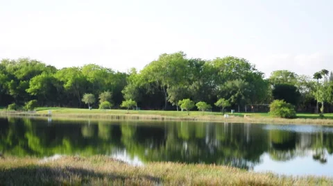 Park Panning shot 動画素材 3477162