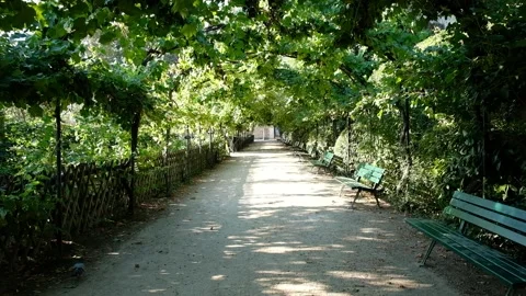 Park in Paris Stock Footage 108890883