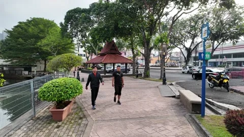 A park with a path and a bench. There are potted plants along the path 스톡 동영상 318267979