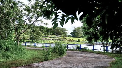 A park with a path and a Stock Photos