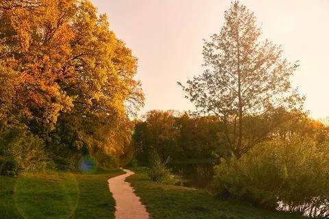 Park with a path and rows of old trees. Park Alley in the sunset Stock Photos