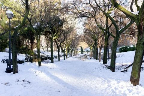 Park with a path and some trees covered in snow. Tierno Galvn, Madrid. Afte.. Stock Photos