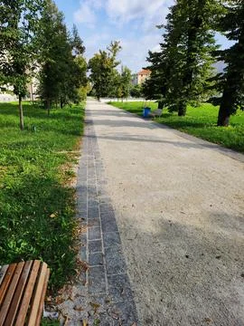 Park Path with Bench and Trees Stock Photos