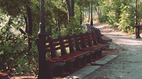 Park path with benches along the water in the afternoon light Stock Footage 343933256