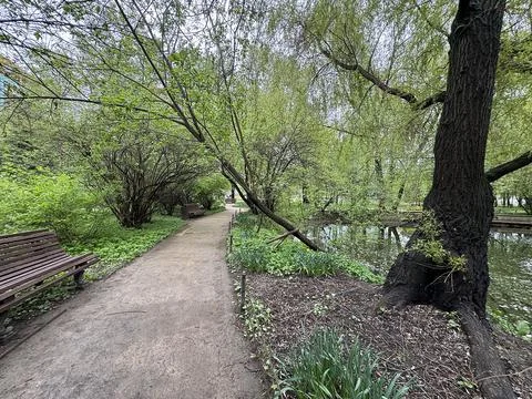 Park path with benches in early spring Stock Photos