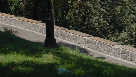 Park path with benches for relaxation. 動画素材 115806823