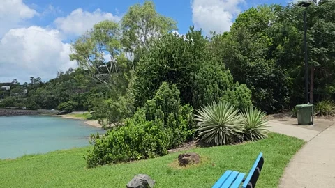 Park Path with Blue Bench by an Inlet, Airlie Beach, Queensland, Australia 8K Stock Footage 299057552