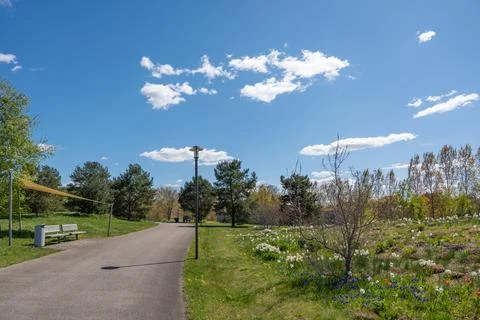Park path bordered by grass and flowering plants under sunny sky Stock Photos