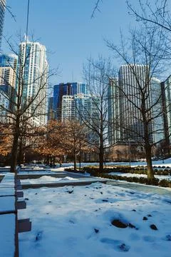 A park path is covered in snow, surrounded by bare trees and tall buildings.  Stock Photos