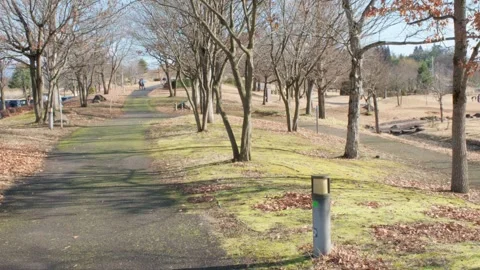 A park path during the early winter months Stock Footage 261697062