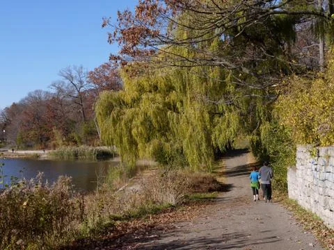 Park path in fall with joggers Stock Photos