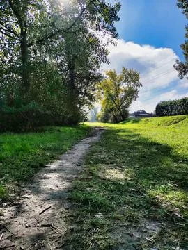 Park path with grass and trees Stock Photos