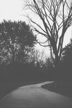 Park Path Landscape Stock Photos