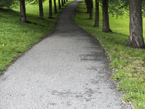 A park path leading down the slope between two rows of trees Stock Photos