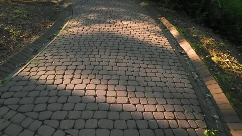 Park path made of stone paving stones in the rays of the sun in a summer park. 库存影片 316524891