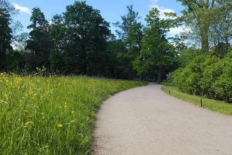Park path meadow wildflower tree summer nature Curving park path beside wil.. Stock Photos