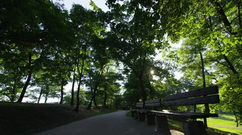 Park Path Morning Sun Trees Benches - 4k Stock Footage 51955352