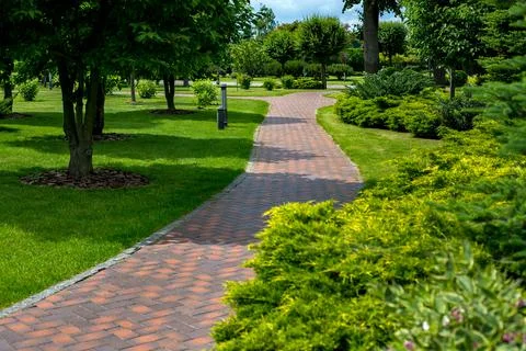 Park path paved with brick stone tiles in backyard garden. Stock Photos