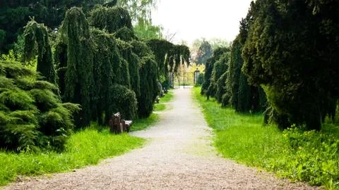 Park path Stock Photos